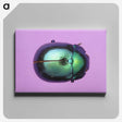 1-26_Insects-Unlocked-Project_canvas