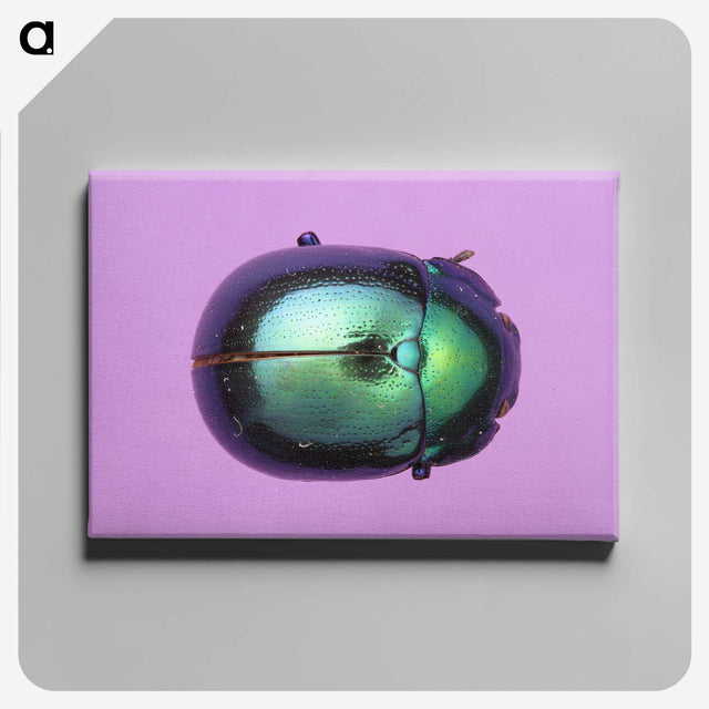 1-26_Insects-Unlocked-Project_canvas