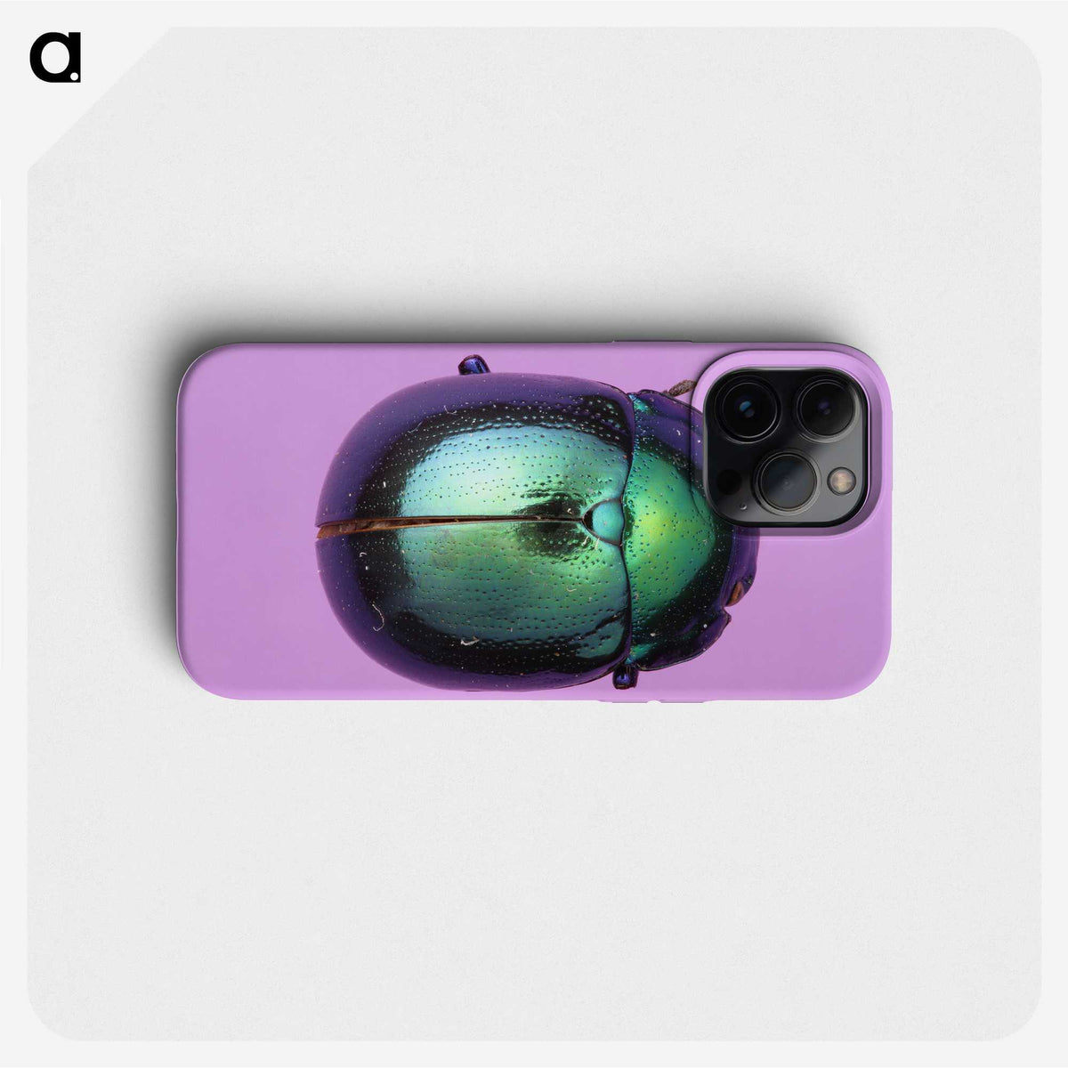 1-26_Insects-Unlocked-Project_phone