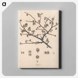 1-26_James-Heath_canvas