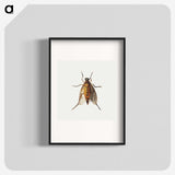 1-26_Jan-Van-Kessel_blk
