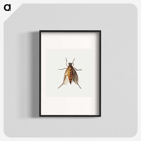 1-26_Jan-Van-Kessel_blk
