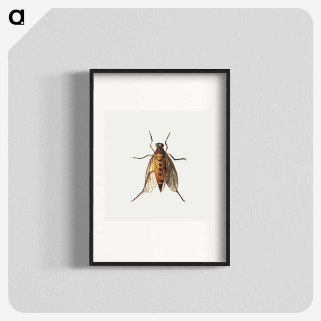 1-26_Jan-Van-Kessel_blk