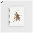 1-26_Jan-Van-Kessel_memo