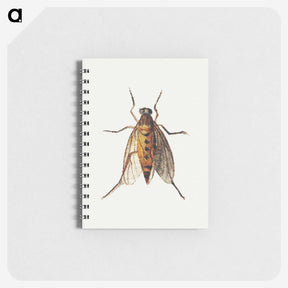 1-26_Jan-Van-Kessel_memo