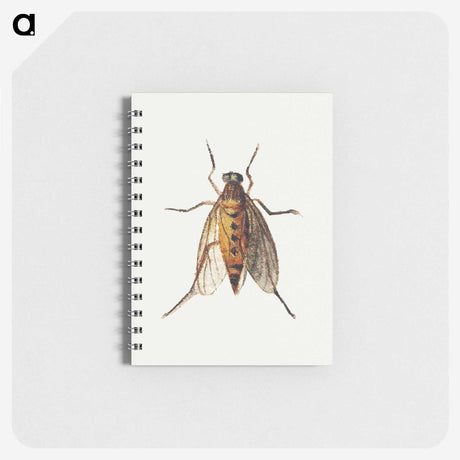 1-26_Jan-Van-Kessel_memo