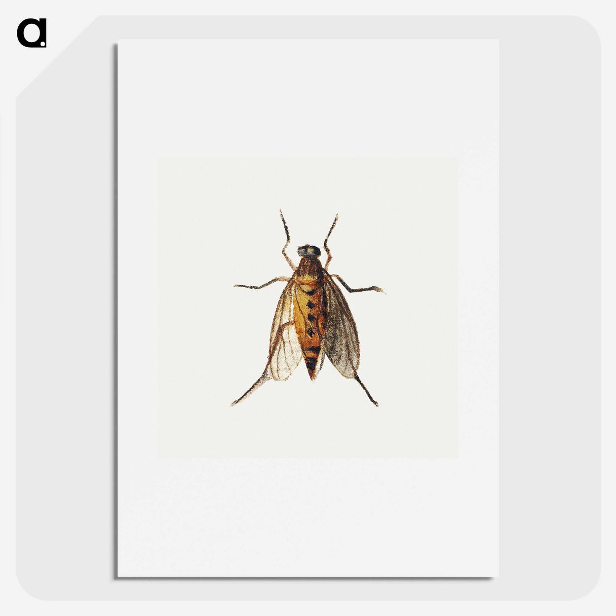 1-26_Jan-Van-Kessel_picture