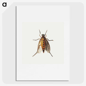1-26_Jan-Van-Kessel_picture