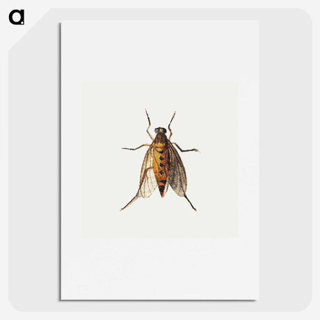1-26_Jan-Van-Kessel_picture