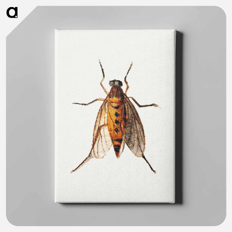 アートパネル-Cicada
 - ヤン ファン ケッセル Canvas.