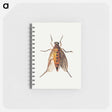 アートメモ帳-Cicada
 - ヤン ファン ケッセル Memo.