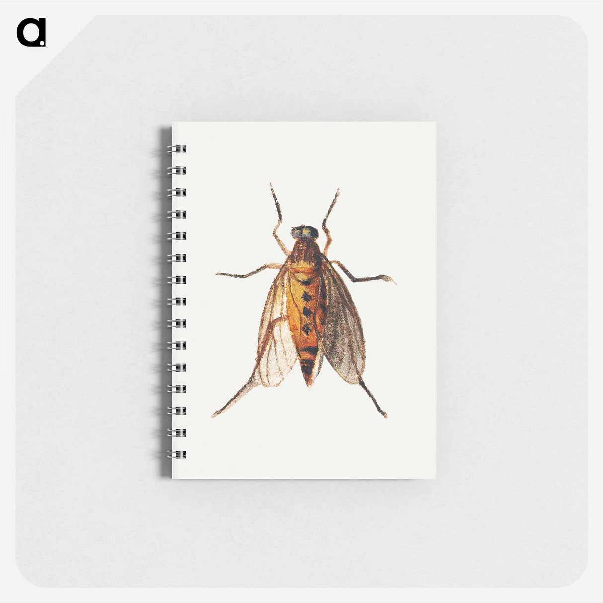 アートメモ帳-Cicada
 - ヤン ファン ケッセル Memo.