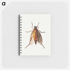 アートメモ帳-Cicada
 - ヤン ファン ケッセル Memo.