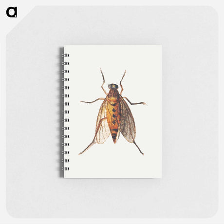 アートメモ帳-Cicada
 - ヤン ファン ケッセル Memo.