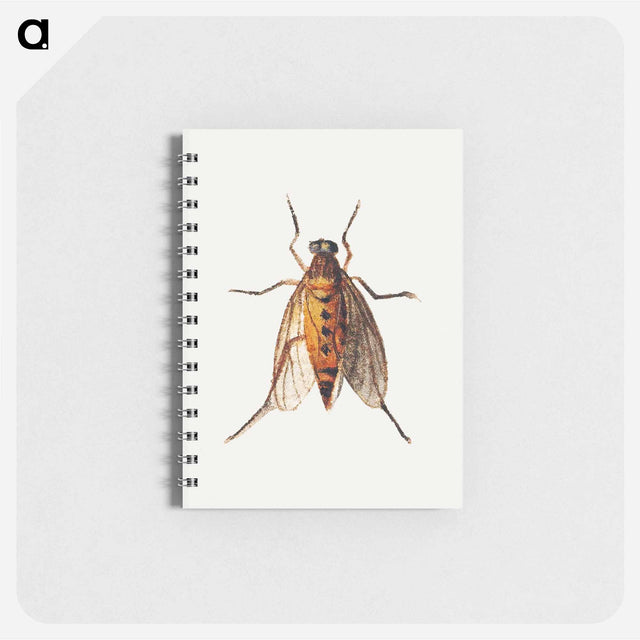 アートメモ帳-Cicada
 - ヤン ファン ケッセル Memo.