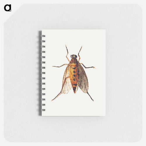 Cicada
 - ヤン ファン ケッセル Memo.