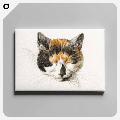 アートパネル-Head of a calico cat with closed eyes - ジャン ベルナール Canvas.