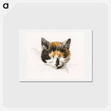 アートポストカード-Head of a calico cat with closed eyes - ジャン ベルナール Postcard.