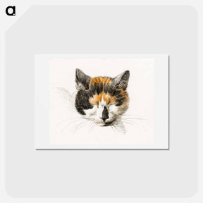 アートポストカード-Head of a calico cat with closed eyes - ジャン ベルナール Postcard.