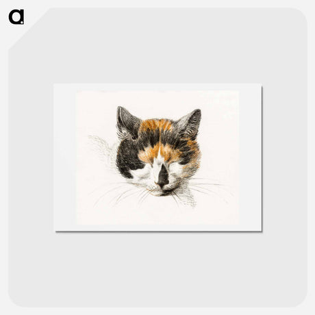 アートポストカード-Head of a calico cat with closed eyes - ジャン ベルナール Postcard.