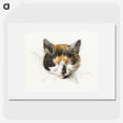 1-26_Jean-Bernard_picture