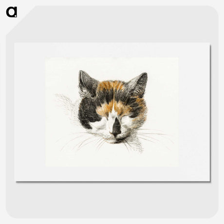 1-26_Jean-Bernard_picture