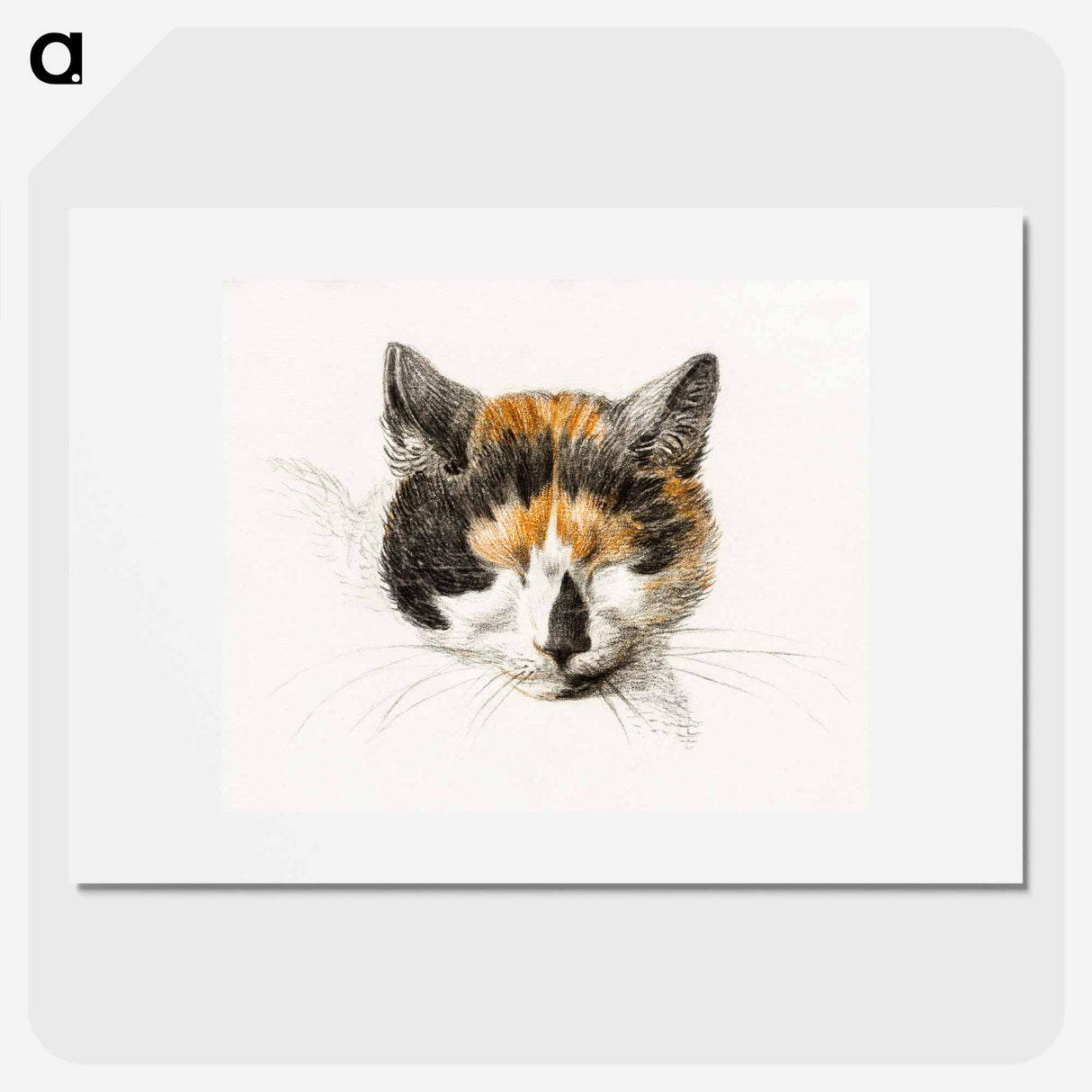 Head of a calico cat with closed eyes - Jean Bernard Poster.
