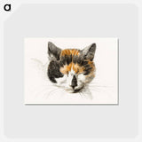 アートポストカード-Head of a calico cat with closed eyes - ジャン ベルナール Postcard.
