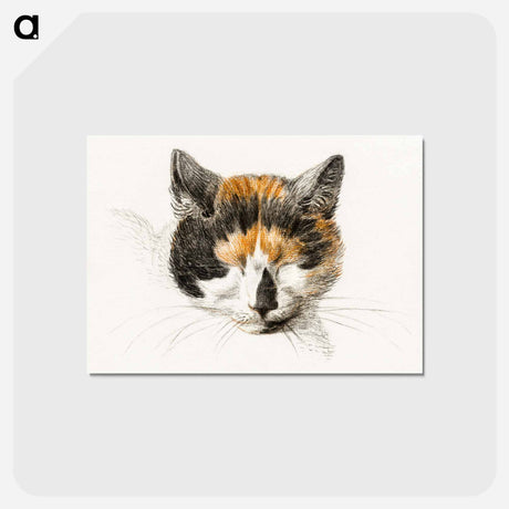 アートポストカード-Head of a calico cat with closed eyes - ジャン ベルナール Postcard.