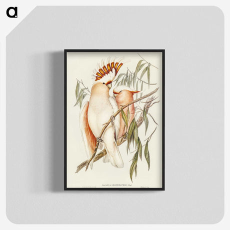 1-26_John-Gould_blk-crop