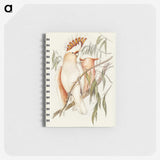 1-26_John-Gould_memo