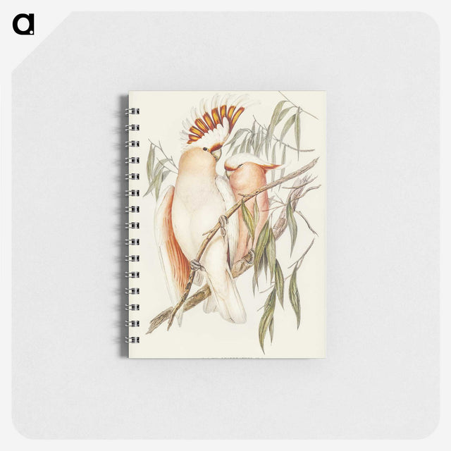 1-26_John-Gould_memo