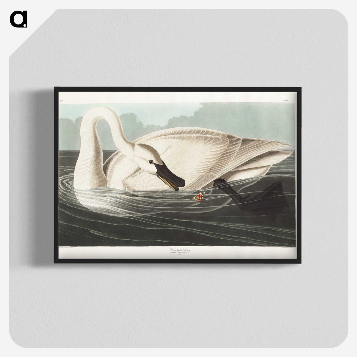 1-26_John-James-Audubon_blk-crop