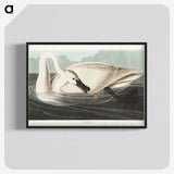 1-26_John-James-Audubon_blk-crop