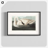 1-26_John-James-Audubon_blk