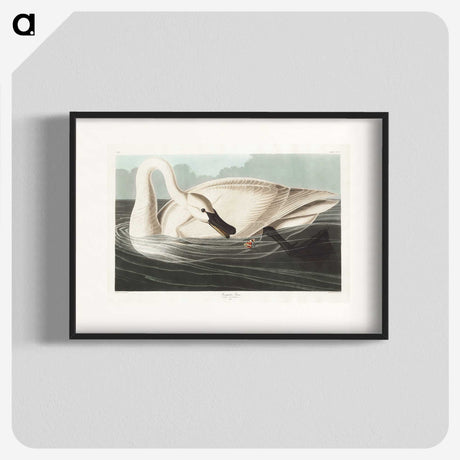 1-26_John-James-Audubon_blk
