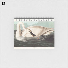 アートメモ帳-Trumpeter Swan
 - ジョン ジェームス オーデュボン Memo.