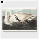 1-26_John-James-Audubon_picture-crop