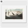 1-26_John-James-Audubon_picture