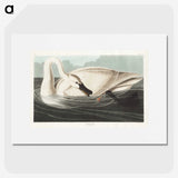1-26_John-James-Audubon_picture