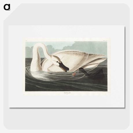 1-26_John-James-Audubon_picture