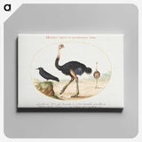 1-26_Joris-Hoefnagel_canvas