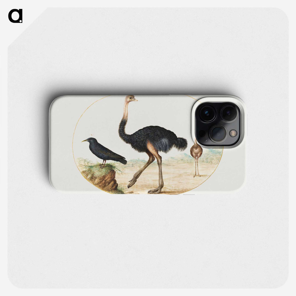1-26_Joris-Hoefnagel_phone