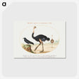 1-26_Joris-Hoefnagel_postcard