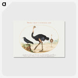 1-26_Joris-Hoefnagel_postcard