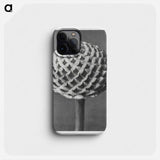 Cephalaria - Karl Blossfeldt Phone Case.