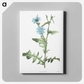 1-26_La-Botanique_canvas