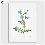 1-26_La-Botanique_picture