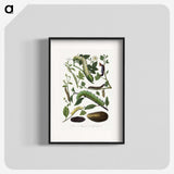 1-26_Le-Jardin-des-Plantes_blk