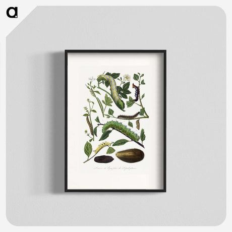 1-26_Le-Jardin-des-Plantes_blk